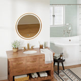 Orion Circular Mirror