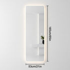 Horizon 65x21" Salon Mirror 3